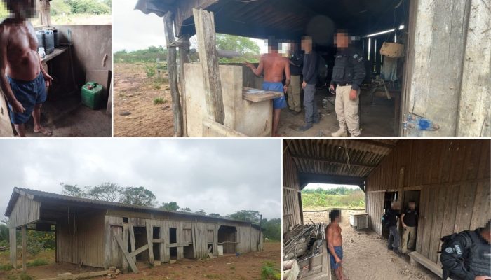 Resgate de idoso em fazenda de Altamira expõe trabalho análogo à escravidão por oito anos