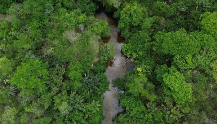 Área queimada no Brasil fica 31% abaixo da média histórica em 2025 Amazônia registra menor área atingida pelo fogo em 41 anos