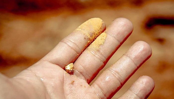 Justiça Federal ordena medidas rigorosas contra o comércio de ouro ilegal no Pará
