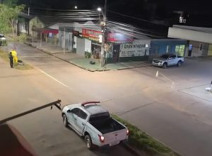 Enxame de abelhas causa interdição de comércio em avenida e mobiliza equipes