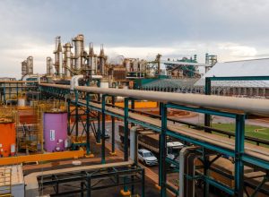 BNDES impulsiona inovação e produção de biocombustíveis com novo financiamento