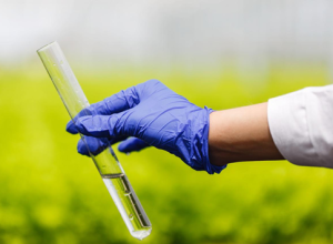 Bioinsumos nacionais ganham espaço diante da alta dependência de fertilizantes importados