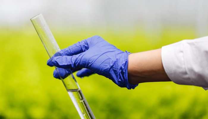 Bioinsumos nacionais ganham espaço diante da alta dependência de fertilizantes importados