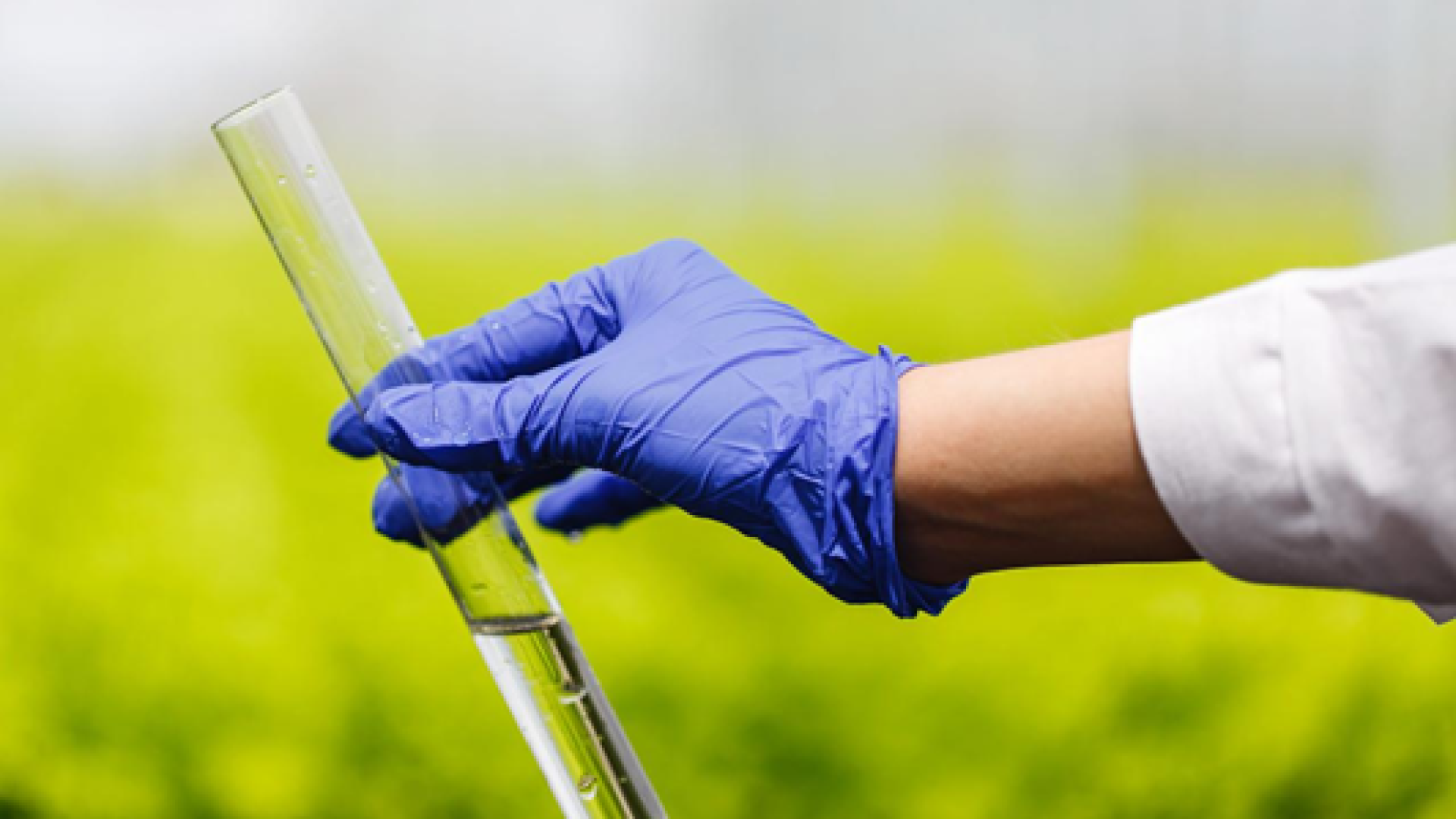 Bioinsumos nacionais ganham espaço diante da alta dependência de fertilizantes importados