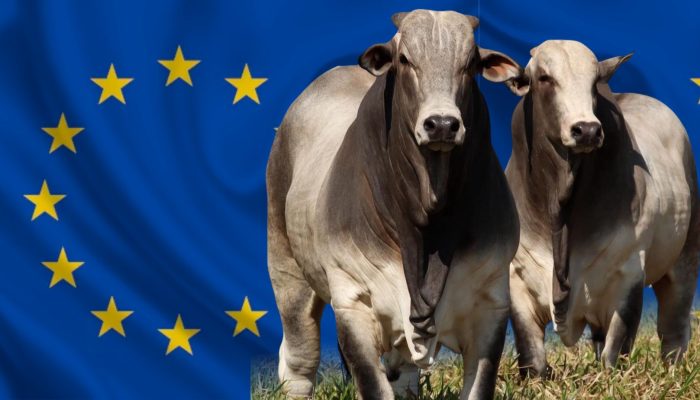Brasil busca ampliar exportações do agronegócio em negociações com a União Europeia