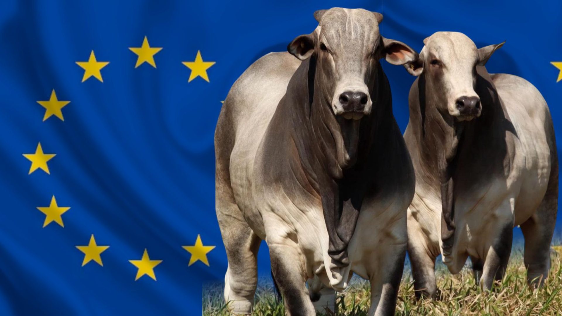 Brasil busca ampliar exportações do agronegócio em negociações com a União Europeia