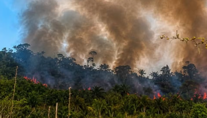 Incêndio florestal na Apyterewa coloca aldeia Parakanã em estado de alerta