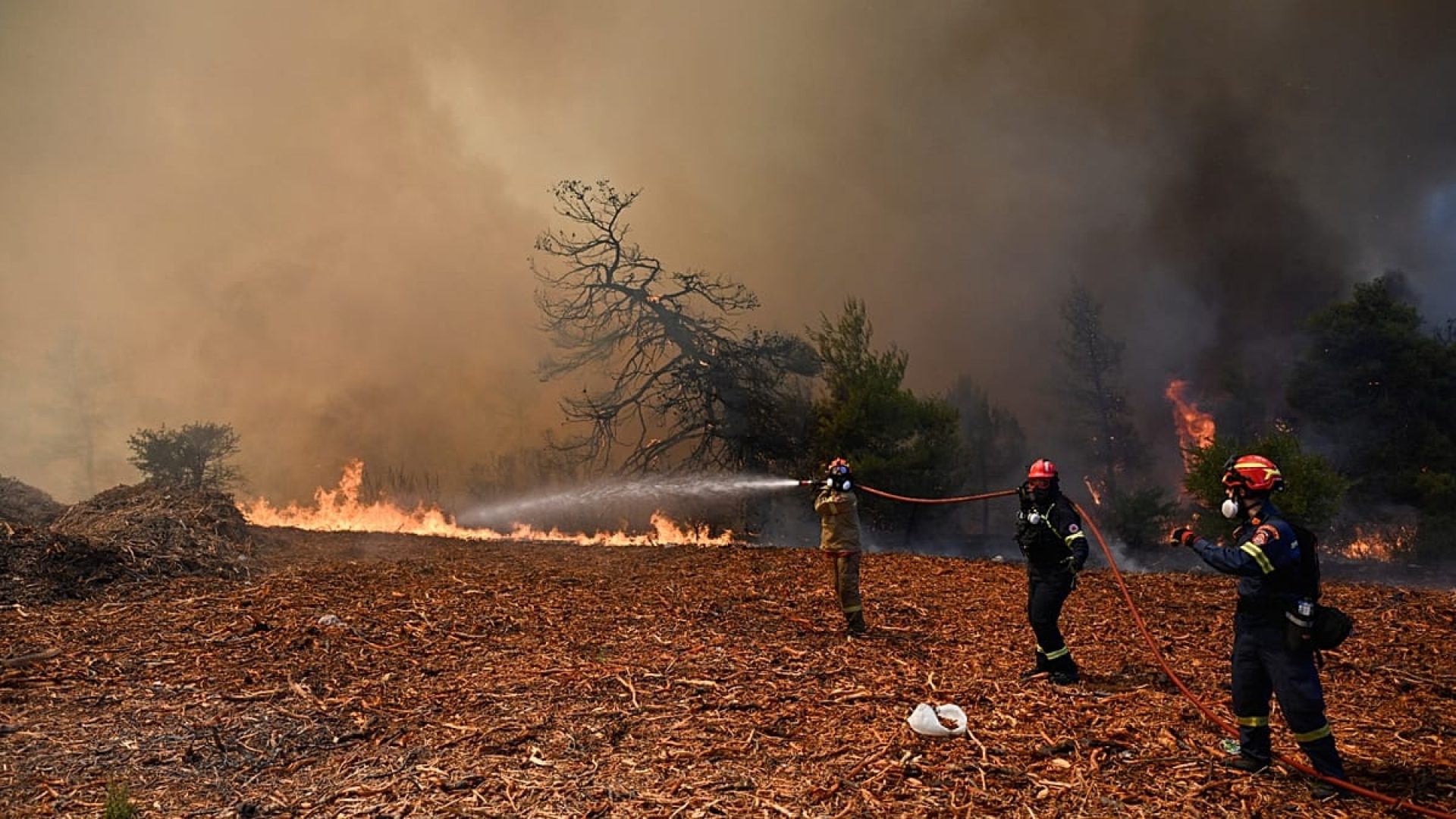 Incêndio florestal perto de Atenas exige mobilização intensa de equipes