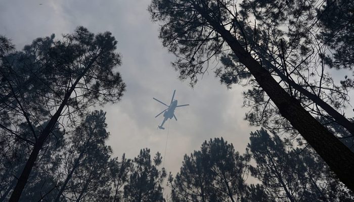 Incêndios florestais devastam região de Var na França sob calor extremo