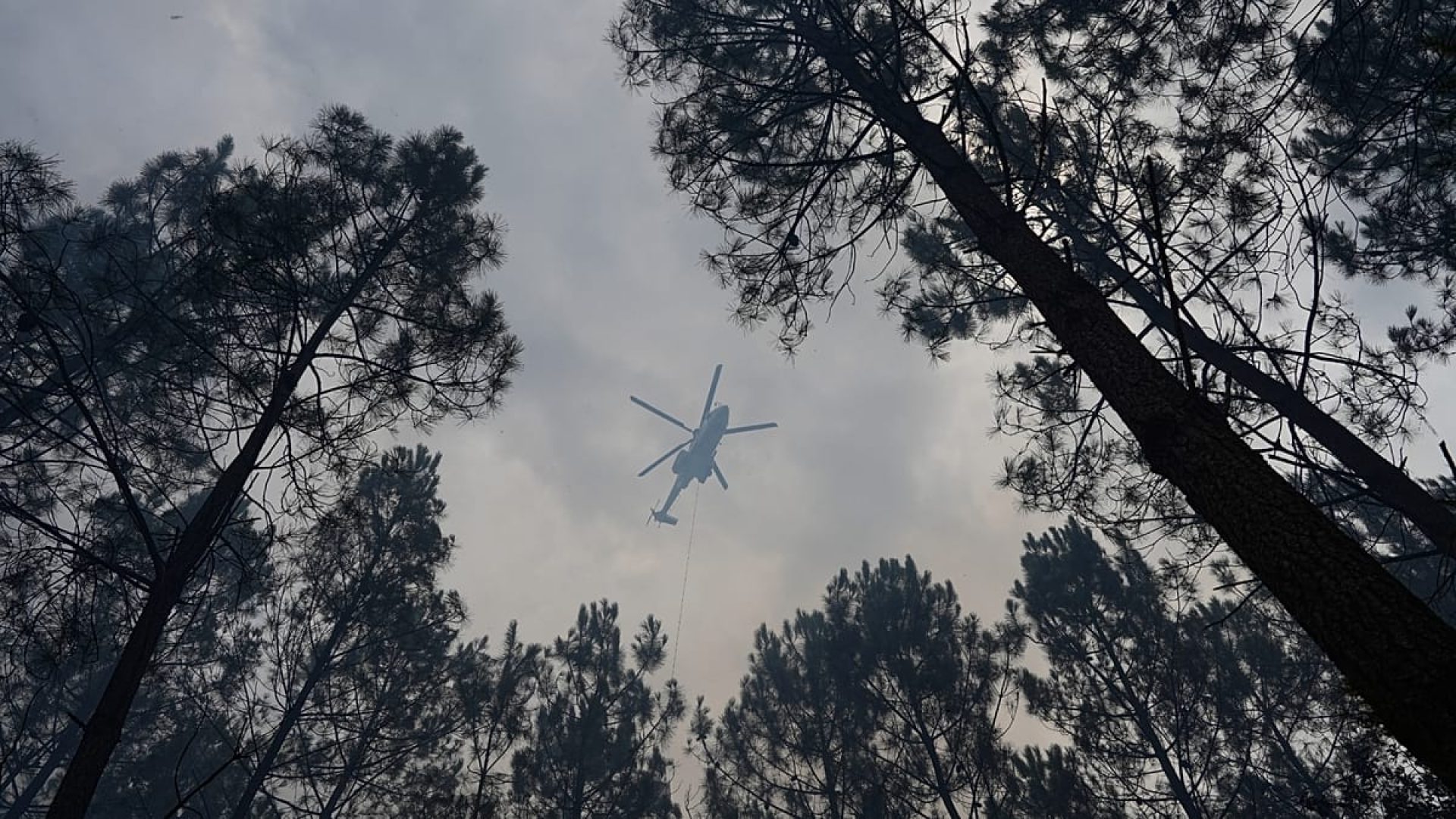 Incêndios florestais devastam região de Var na França sob calor extremo