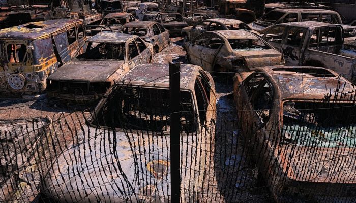 Incêndios florestais na Espanha: custos de extinção atingem bilhões e expõem desafios