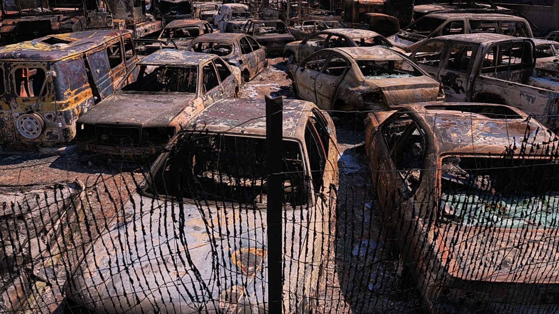 Incêndios florestais na Espanha: custos de extinção atingem bilhões e expõem desafios