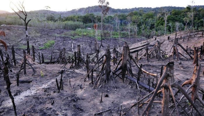 MPF aciona Polícia Federal para conter invasões na Terra Indígena Ituna-itatá