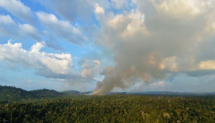 MPF solicita multa diária de R$ 50 mil à União por omissão em terra indígena no Pará