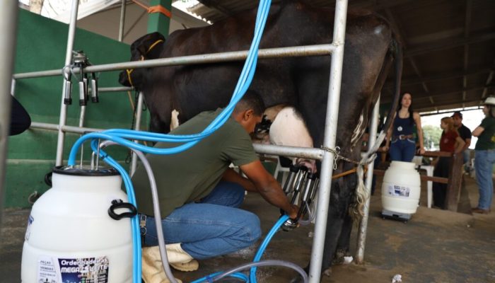 No último dia, 38ª Expoama premia vencedores do 5º Torneio Leiteiro de Marabá