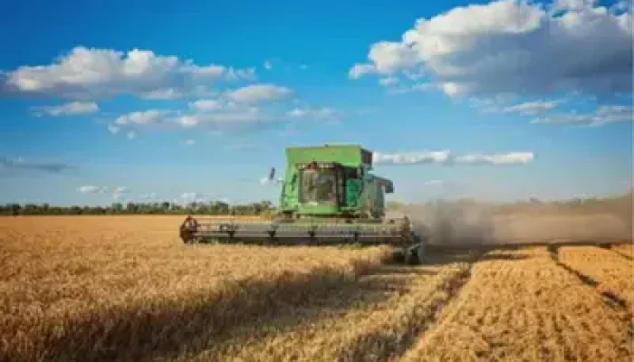 PAM 2025: Produção Agrícola DOS Municípios BATE Recorde DE R$ 927,2 Bilhões; Confira Ranking DAS Cidades