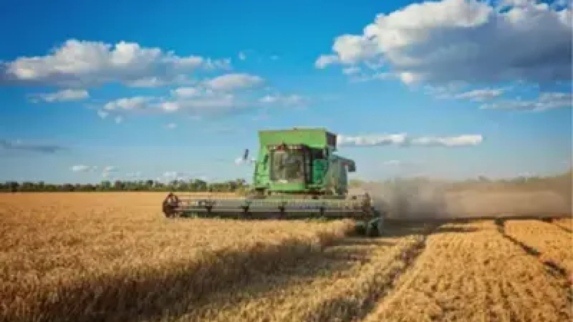 PAM 2025: Produção Agrícola DOS Municípios BATE Recorde DE R$ 927,2 Bilhões; Confira Ranking DAS Cidades