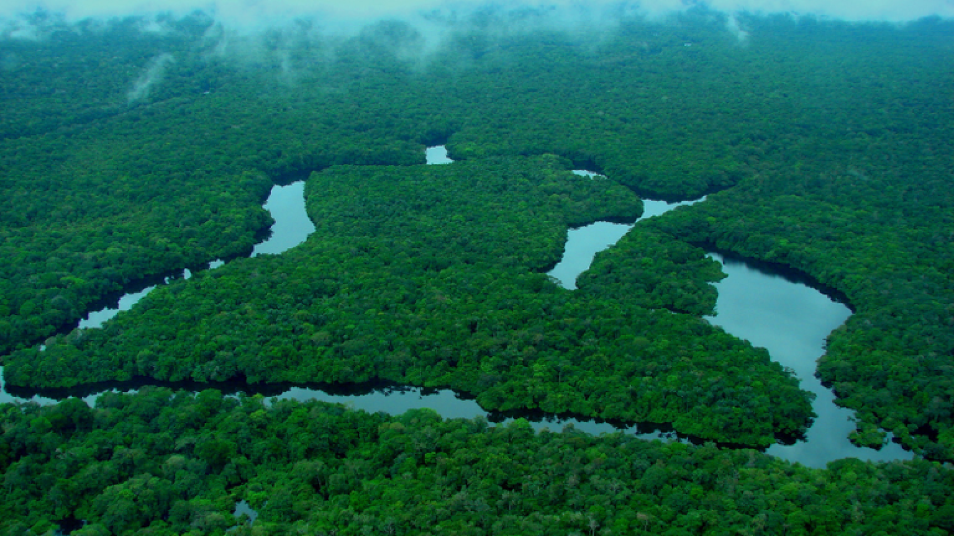 Pará alcança menor patamar de alertas de desmatamento em seis anos com queda de 26%