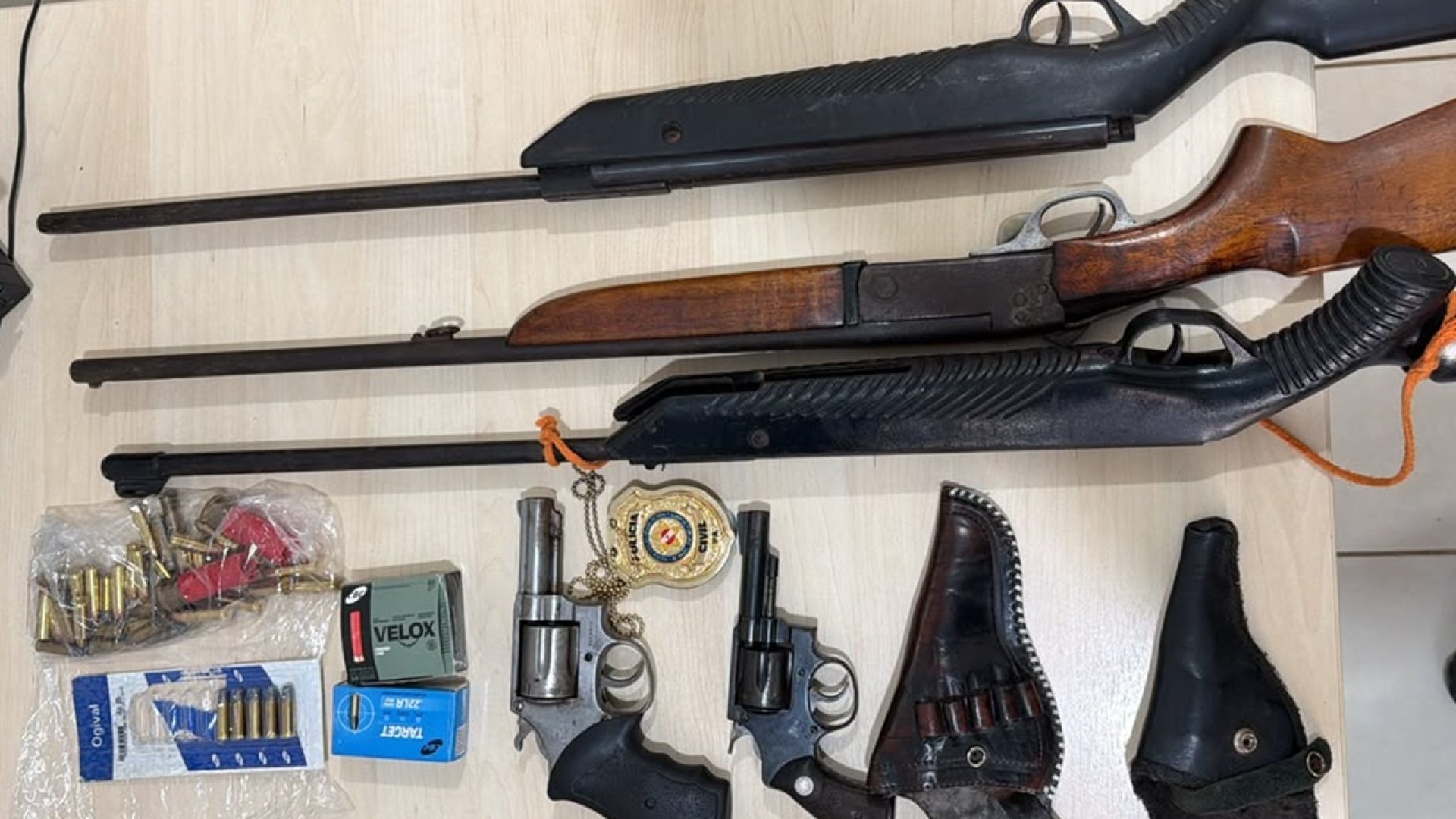 Polícia Civil combate crimes ambientais e fraudes em operação no Pará e Goiás