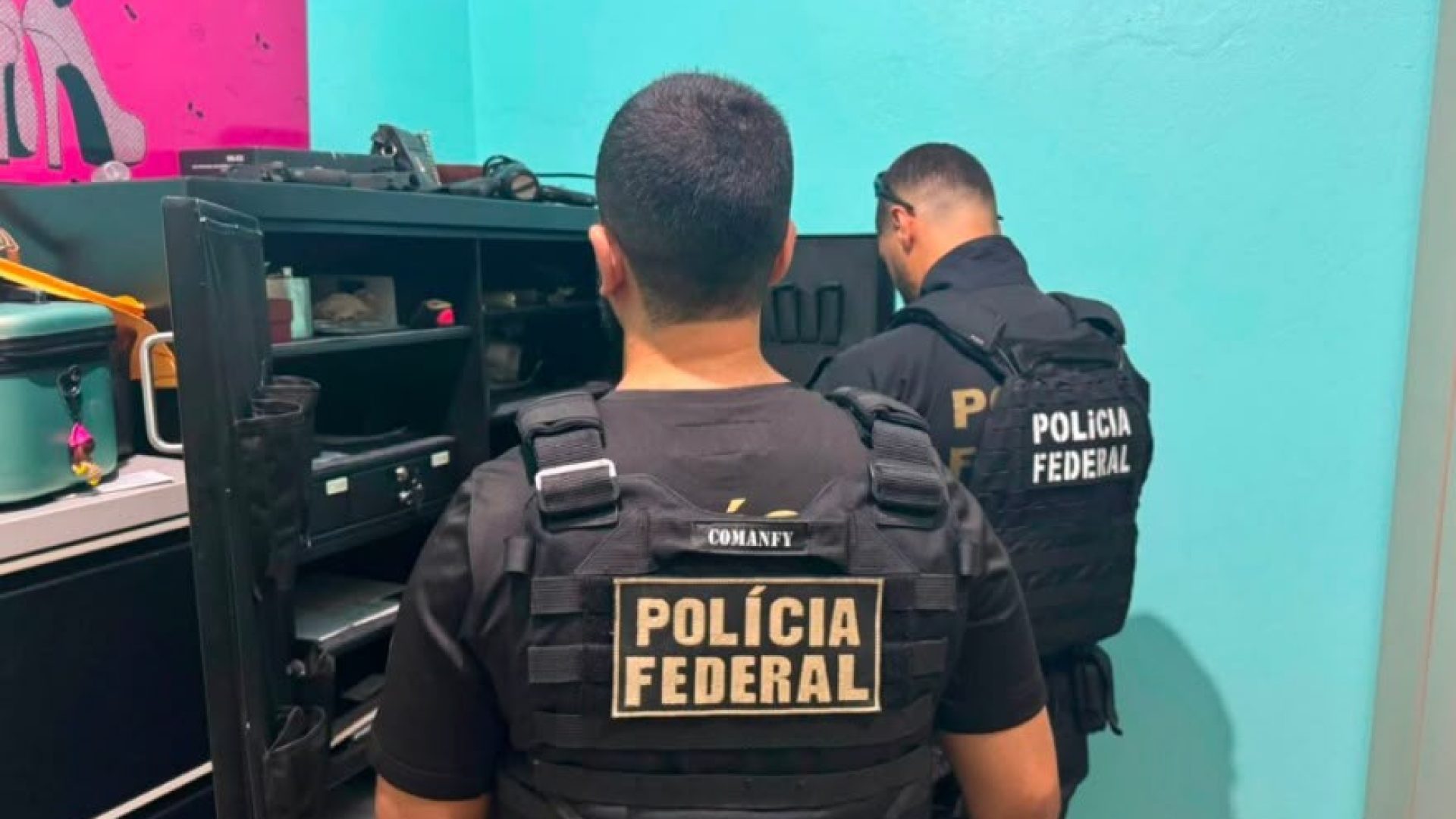 Polícia Federal combate desmatamento ilegal e organização criminosa na Amazônia paraense