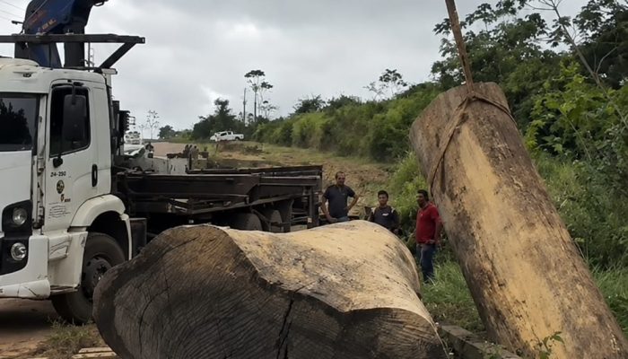 Ponte na zona rural de Altamira cede com caminhão de toras e interrompe tráfego