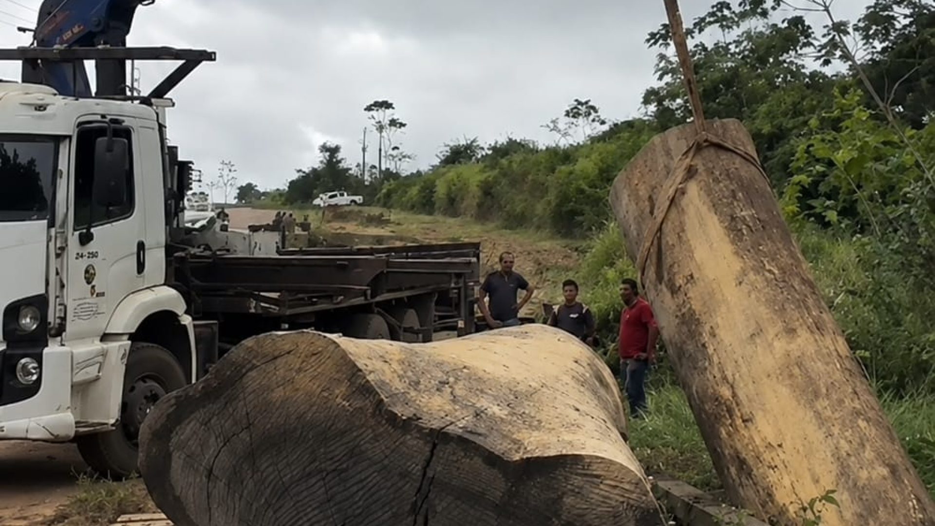 Ponte na zona rural de Altamira cede com caminhão de toras e interrompe tráfego