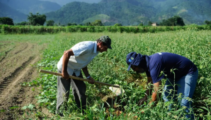 Produtores rurais do Pará poderão renegociar dívidas com condições especiais