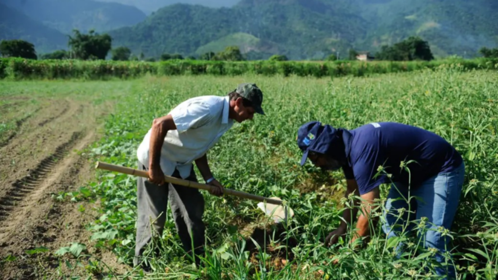 Produtores rurais do Pará poderão renegociar dívidas com condições especiais