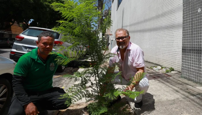 Programa Plante Aqui amplia arborização urbana em Belém com participação popular
