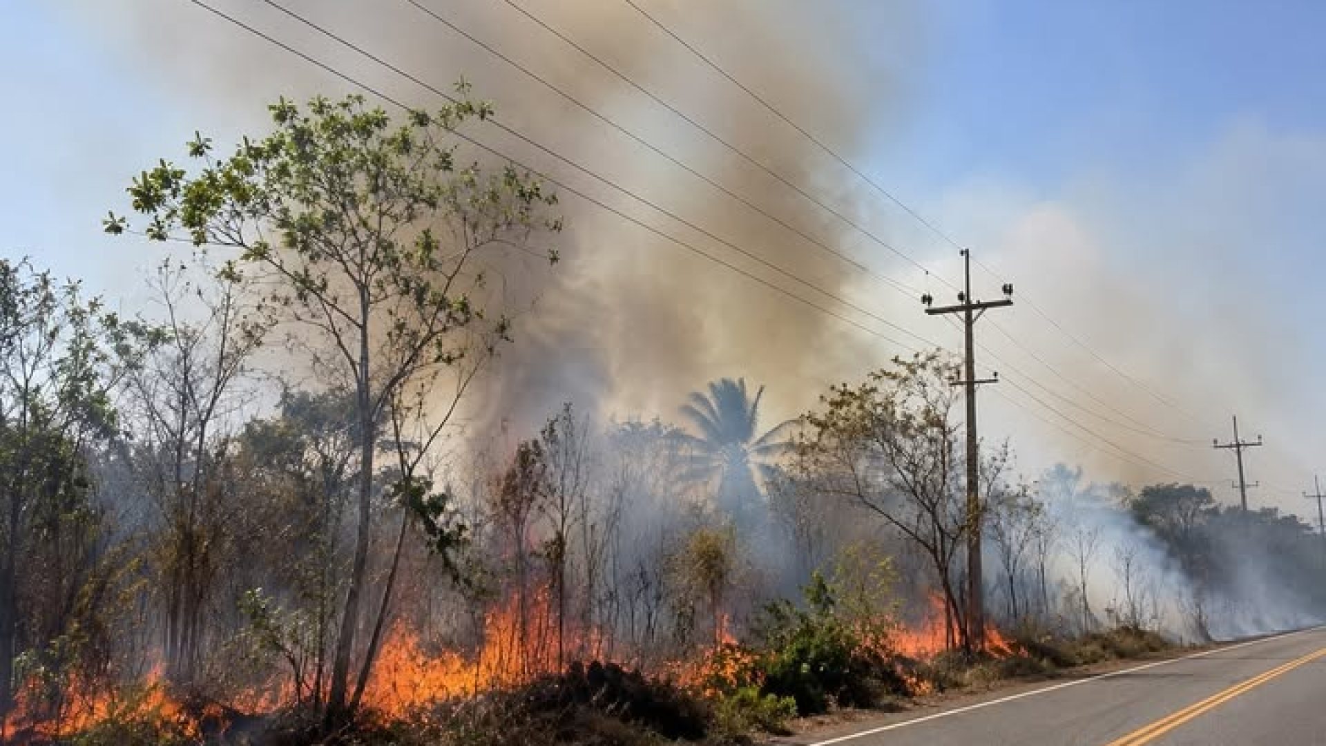 Queimadas Já Provocaram 720 Ocorrências COM a REDE Elétrica NO Pará EM 2026