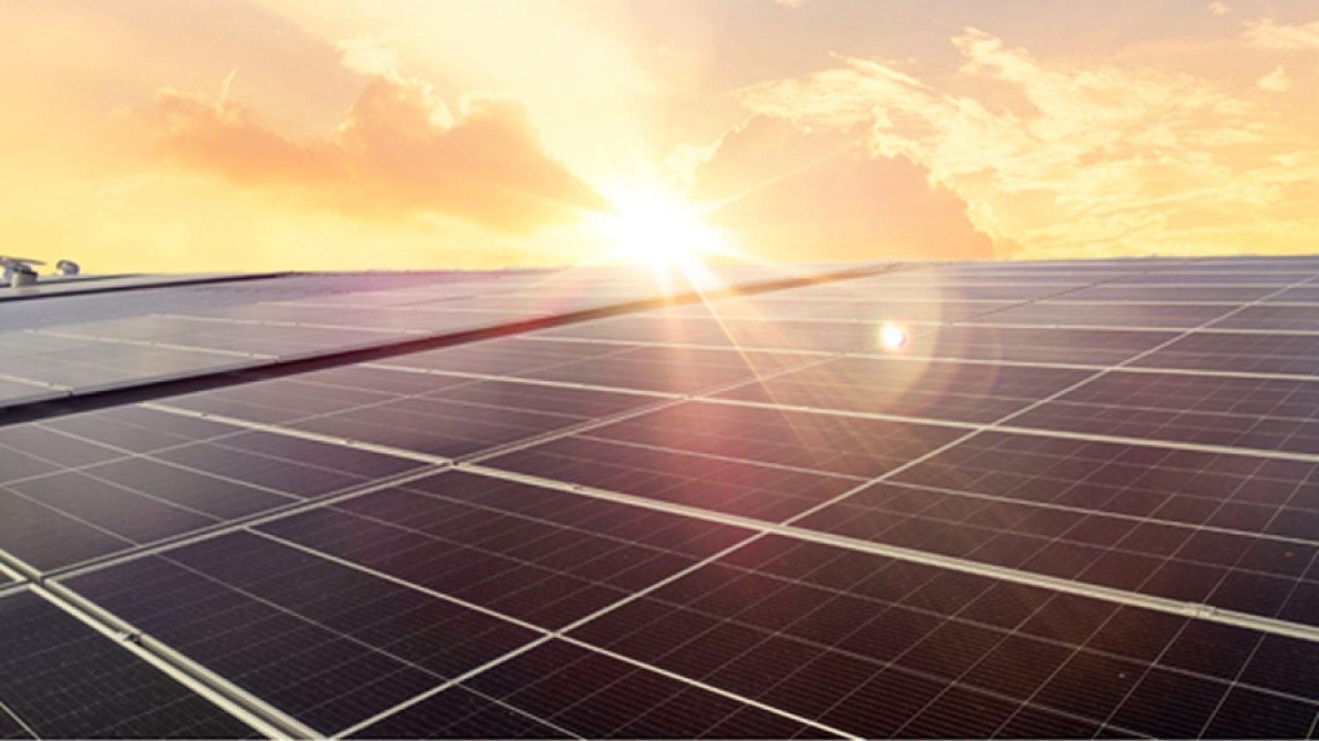 SNEL11 capta R$ 1 bilhão para expandir portfólio em geração distribuída solar