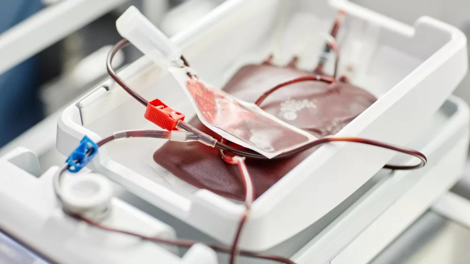 Testemunhas de Jeová liberam componentes do sangue, mas mantêm veto à transfusão total