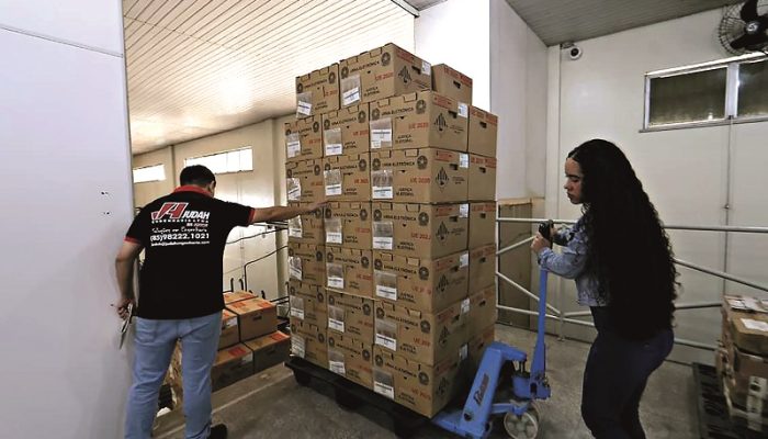 TRE do Pará inicia envio de 23,2 mil urnas para as zonas eleitorais Equipamentos serão distribuídos gradualmente a partir de Ananindeua, passarão por novos testes e começarão a ser preparados para a votação na segunda quinzena de setembro