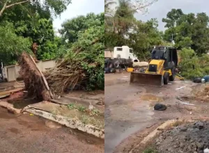 Ventos e granizo castigam Xinguara, Pará, com fortes estragos